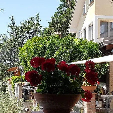 Bed & Breakfast L'eucalipto
