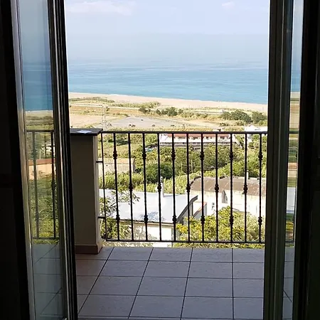 L'eucalipto * Paola