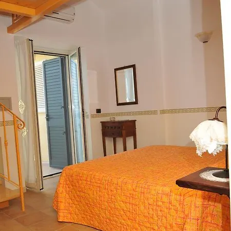 L'eucalipto Paola