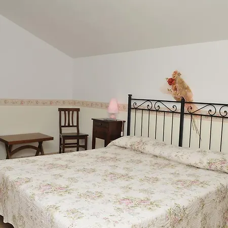 B&B L'eucalipto 파올라
