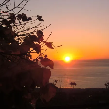 L'eucalipto B&B 파올라